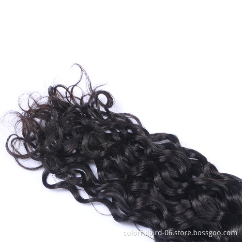 Wholesale Water Wave Closure 4x4 Transparent Lace Closure Brazilian WaterWave  Remy Human Hair Closure Brazilian Hair